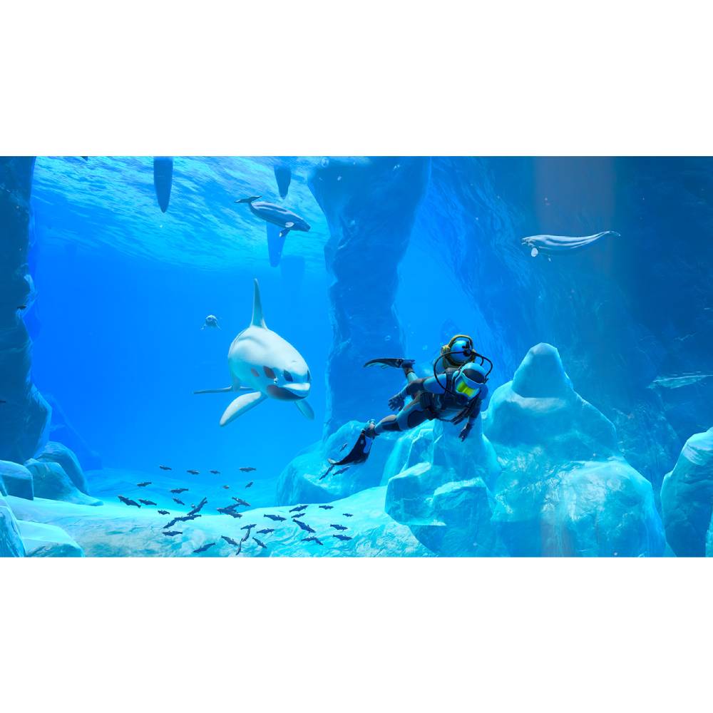 Nintendo - Jogo Nintendo Switch Endless Ocean: Luminous