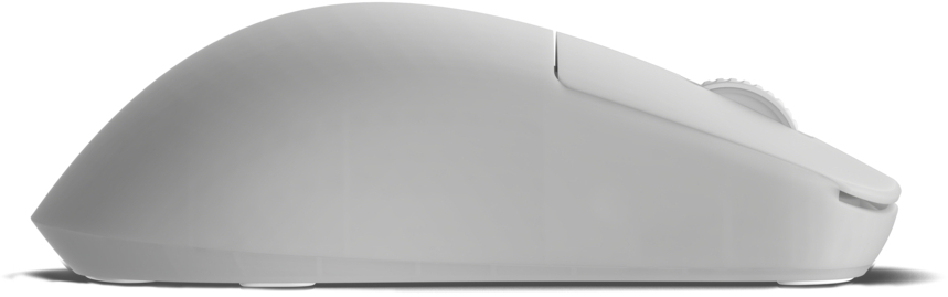 Endgame Gear - Rato Gaming Endgame Gear OP1w 4k Wireless  - White Frost