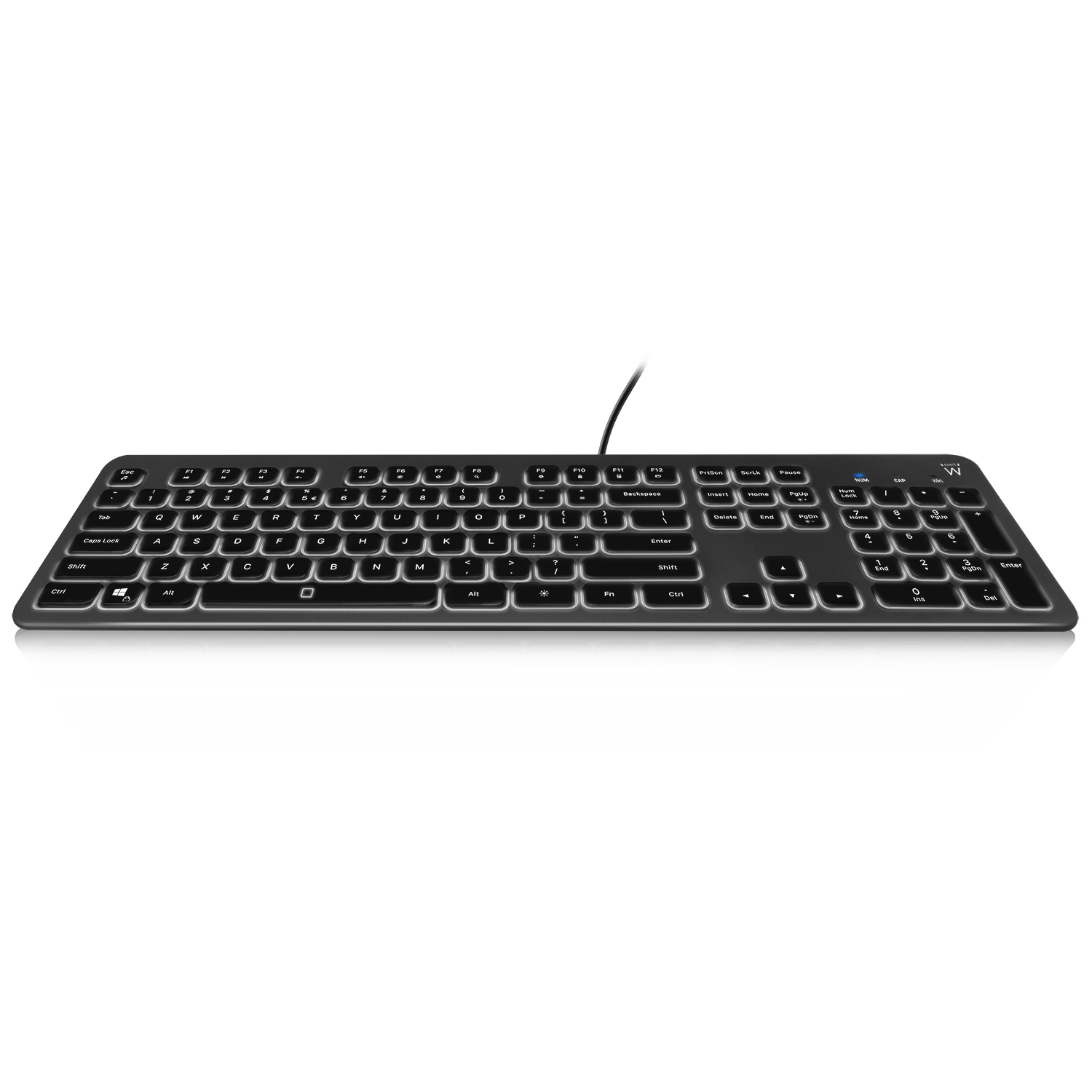Ewent - Teclado Ewent EW3270 Silent Retroiluminado PT Preto