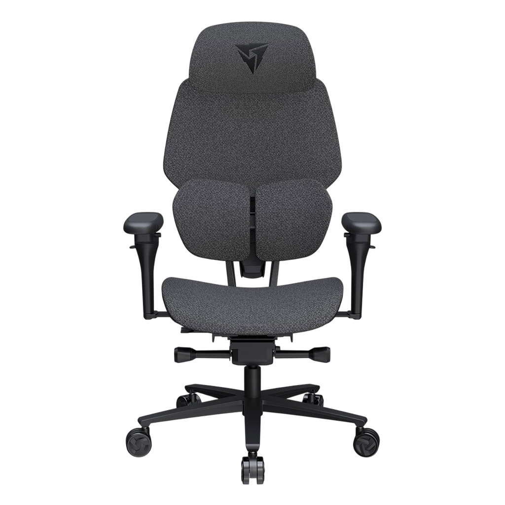 Picture of Picture of Cadeira Gaming Ergonomica ThunderX3 FLEX Pro, Apoio lombar 360 graus - Loft Dark Grey