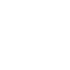 Design Icon
