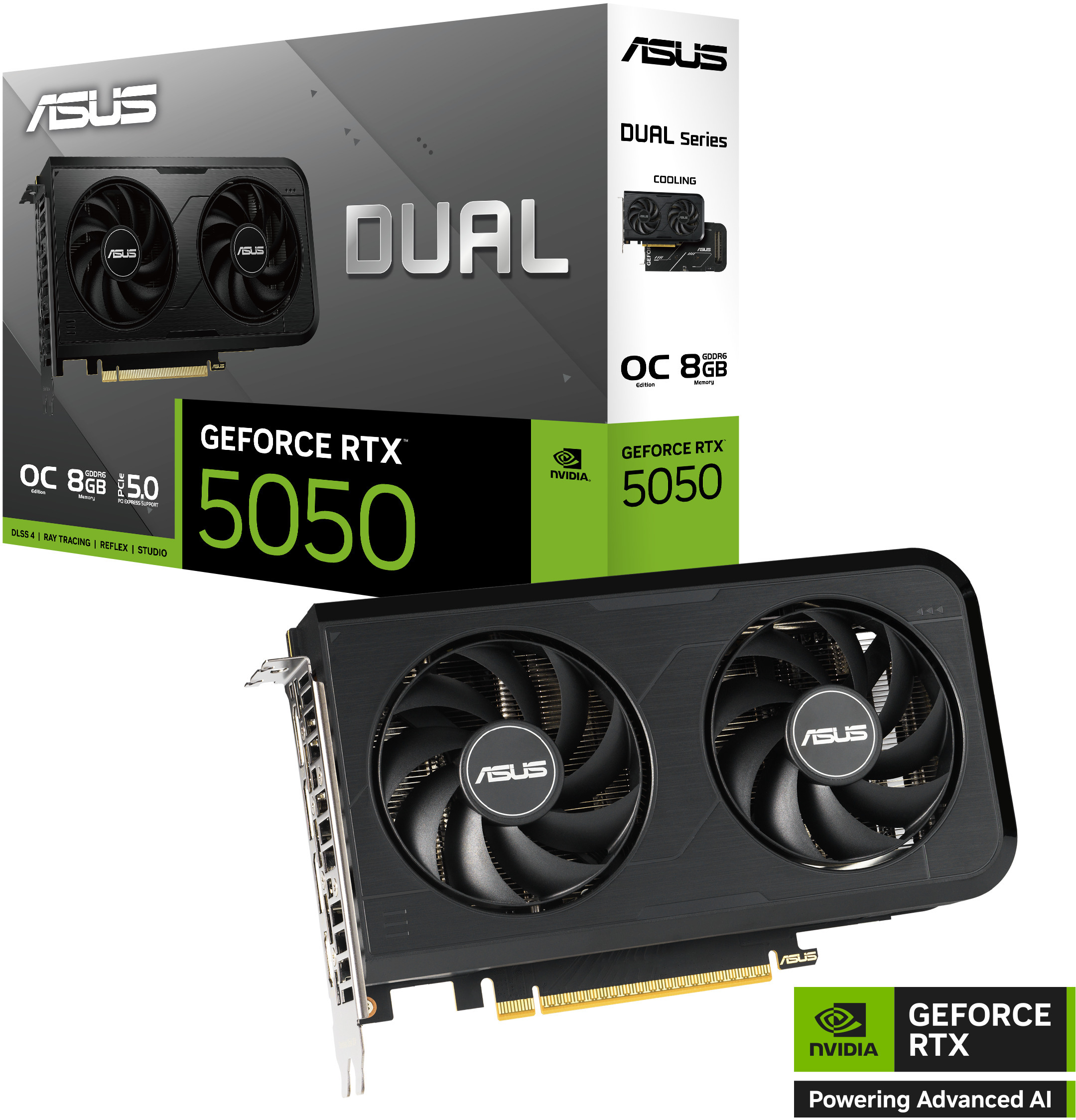 Picture of Picture of Gráfica Asus GeForce® RTX 5050 Dual OC 8GB GDDR6 DLSS4