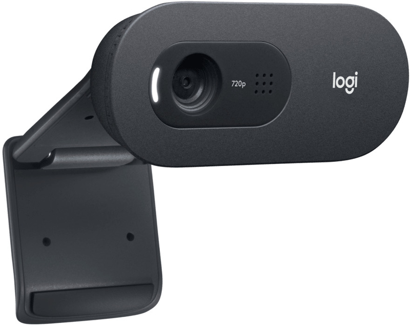 Logitech - Webcam Logitech C505e HD 720p