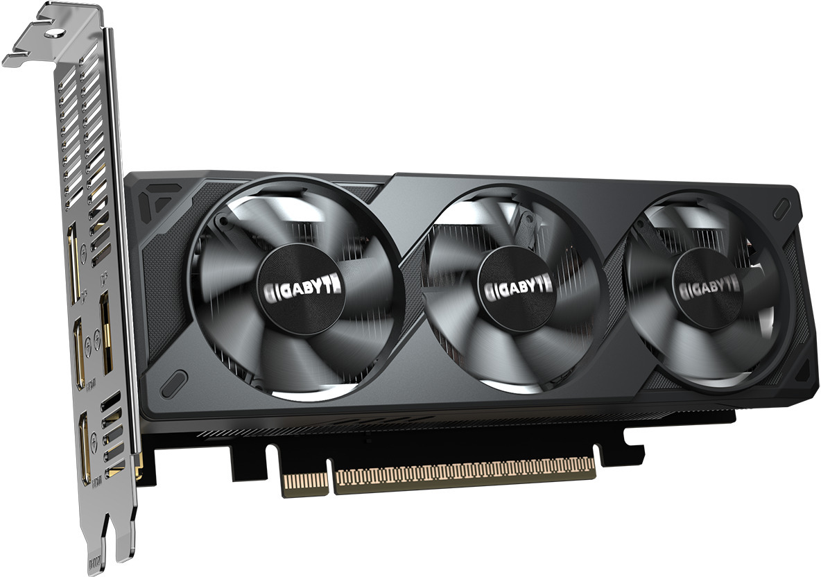 Gigabyte - Gráfica Gigabyte GeForce® RTX 5050 OC LP 8GB GDDR6 DLSS4