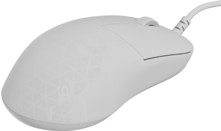 Endgame Gear - Rato Gaming Endgame Gear XM2 8k Gaming Mouse - White Frost