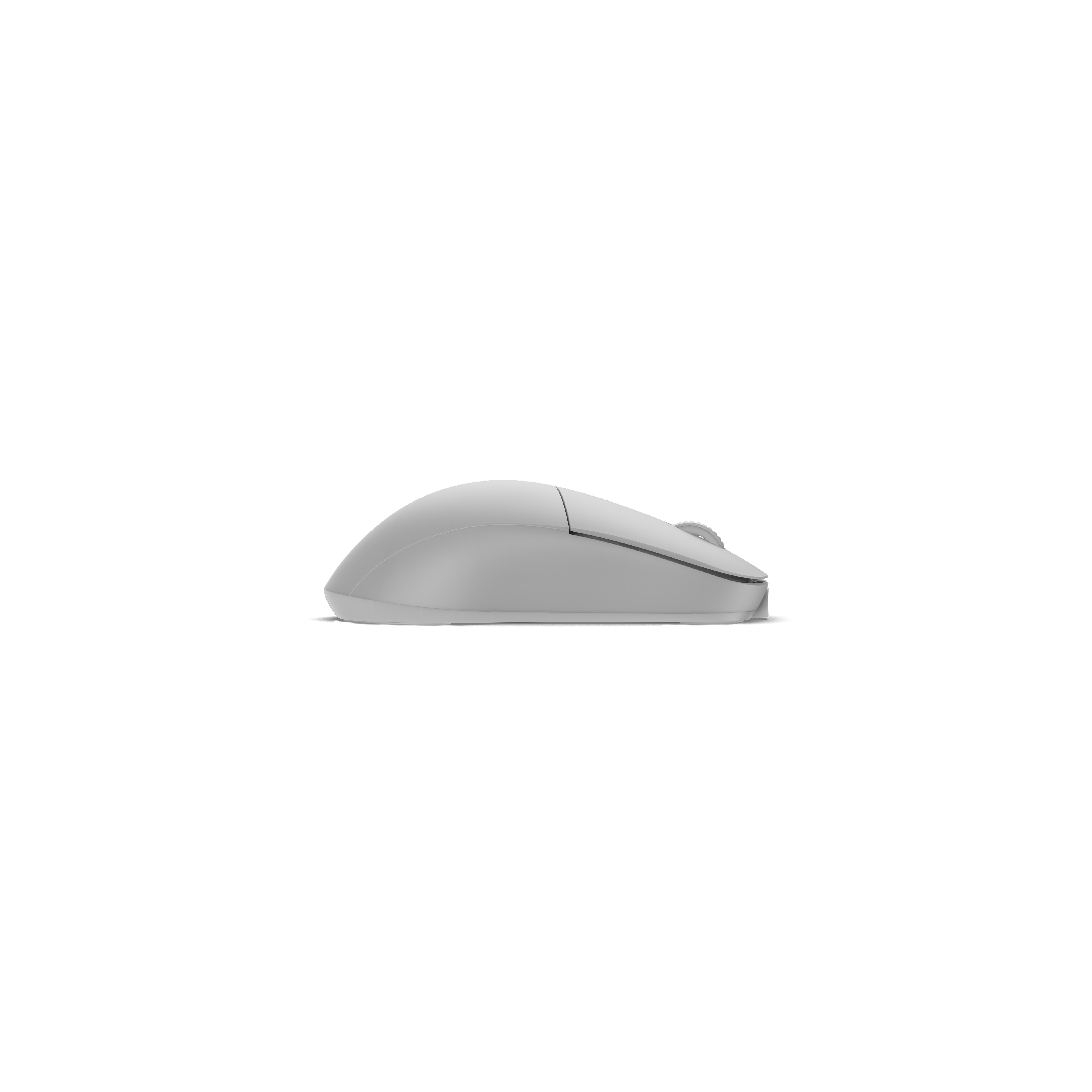 Endgame Gear - Rato Gaming Endgame Gear XM2w 4k V2 Wireless - White Frost