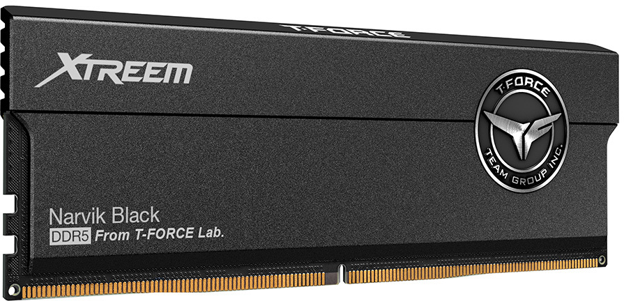 Team Group - Team Group Kit 48GB (2 x 24GB) DDR5 CU-DIMM 8800MHz Xtreem Preto CL42