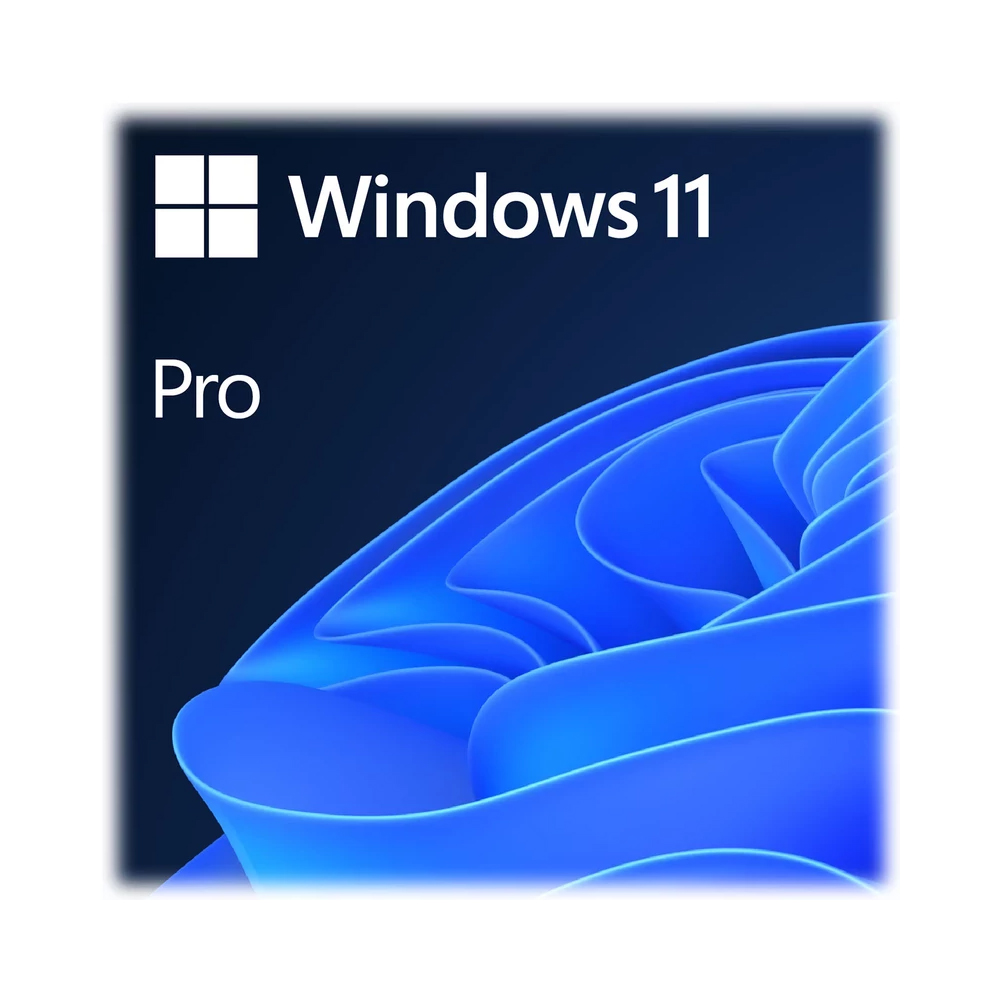 Microsoft Windows 11 Pro 64-bit EN OEM