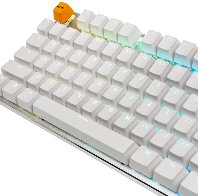 Glorious - ** B Grade ** Teclado Glorious GMMK TKL White Ice Edition - Gateron-Brown (US)