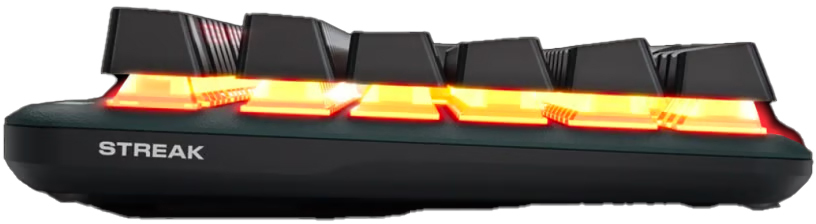 Fnatic - Teclado Fnatic miniSTREAK TKL Gaming Tastatur Kailh Speed Silver - Nordic Layout