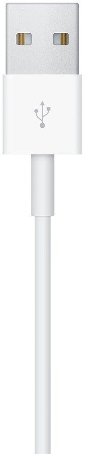 Apple - Cabo de Carregamento magnético rápido Apple Watch 1m Branco