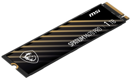 MSI - SSD MSI SPATIUM M470 PRO 1TB Gen4 M.2 NVMe (6000/4500MB/s)