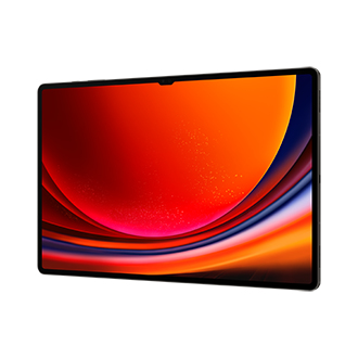 Samsung - Tablet Samsung Galaxy Tab S9 Ultra 14.6" (12 / 256GB) 120Hz 5G WiFi Graphite