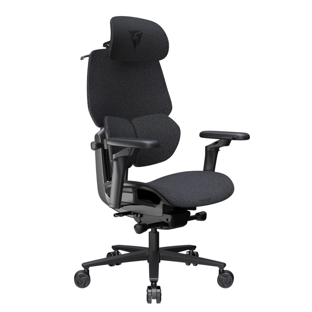 ThunderX3 - Cadeira Gaming Ergonomica ThunderX3 FLEX Pro, Apoio lombar 360 graus - Loft Dark Grey