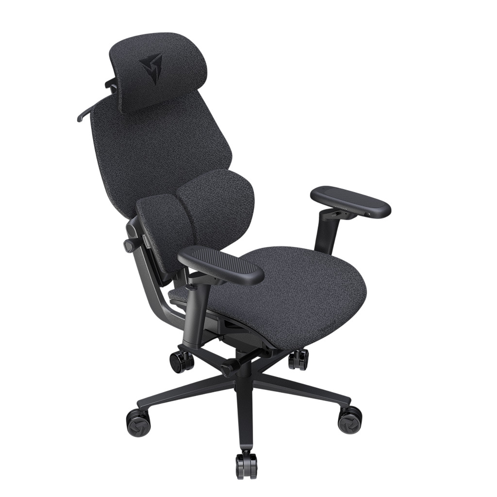 ThunderX3 - Cadeira Gaming Ergonomica ThunderX3 FLEX Pro, Apoio lombar 360 graus - Loft Dark Grey