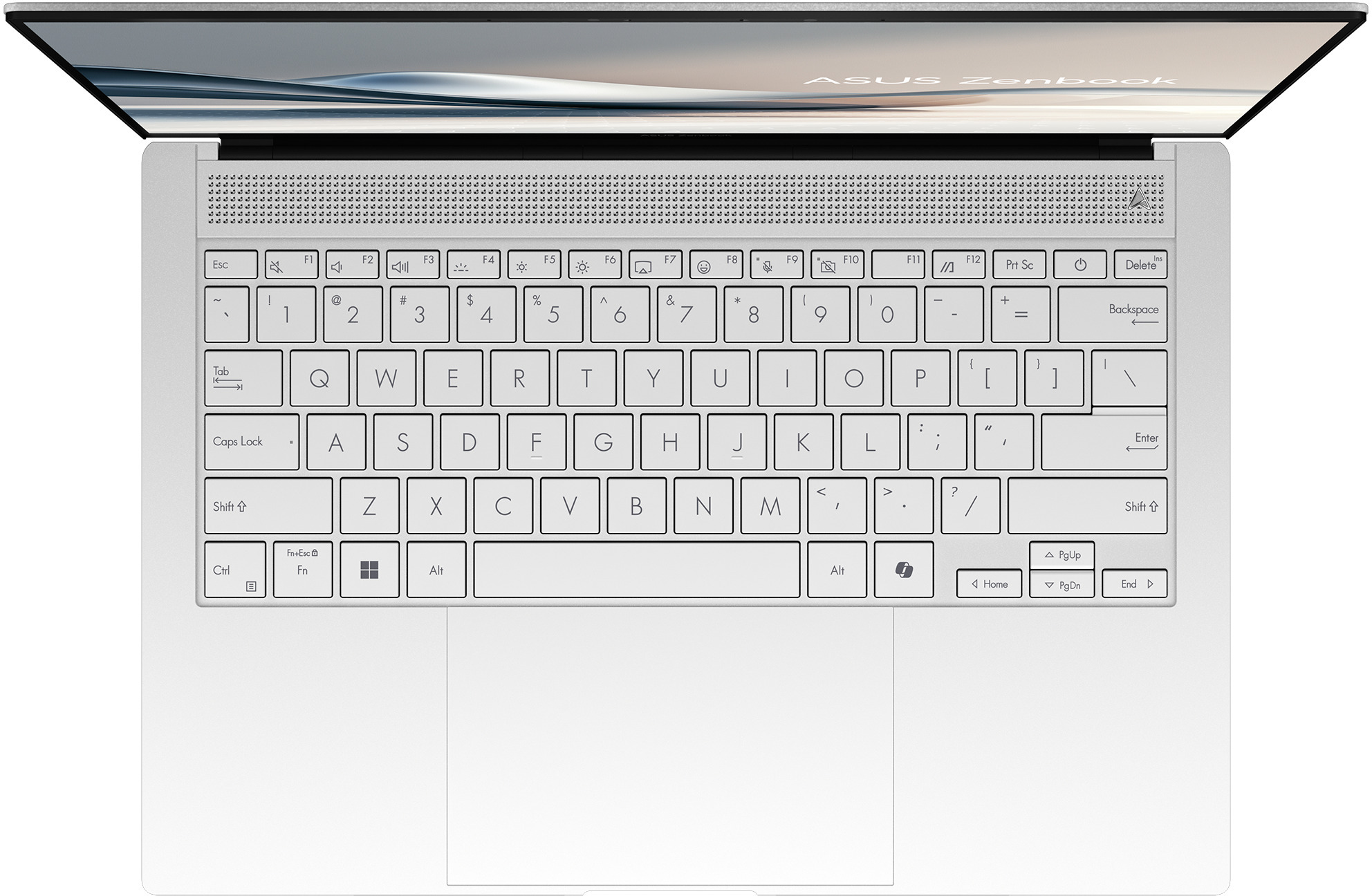 Asus - Portátil ASUS ZenBook UX5406SA 14" Ultra 7 258V 32GB DDR5 1TB Arc Graphics 3K OLED 120Hz W11 Pro