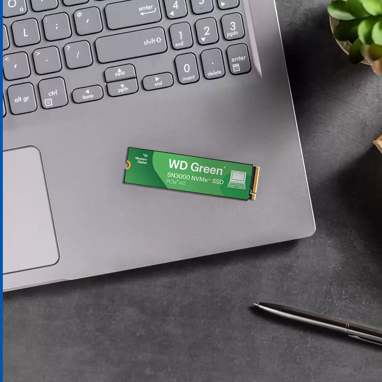 Western Digital - Disco SSD Western Digital Green SN3000 500GB Gen4 M.2 NVMe (5000/4100MB/s)