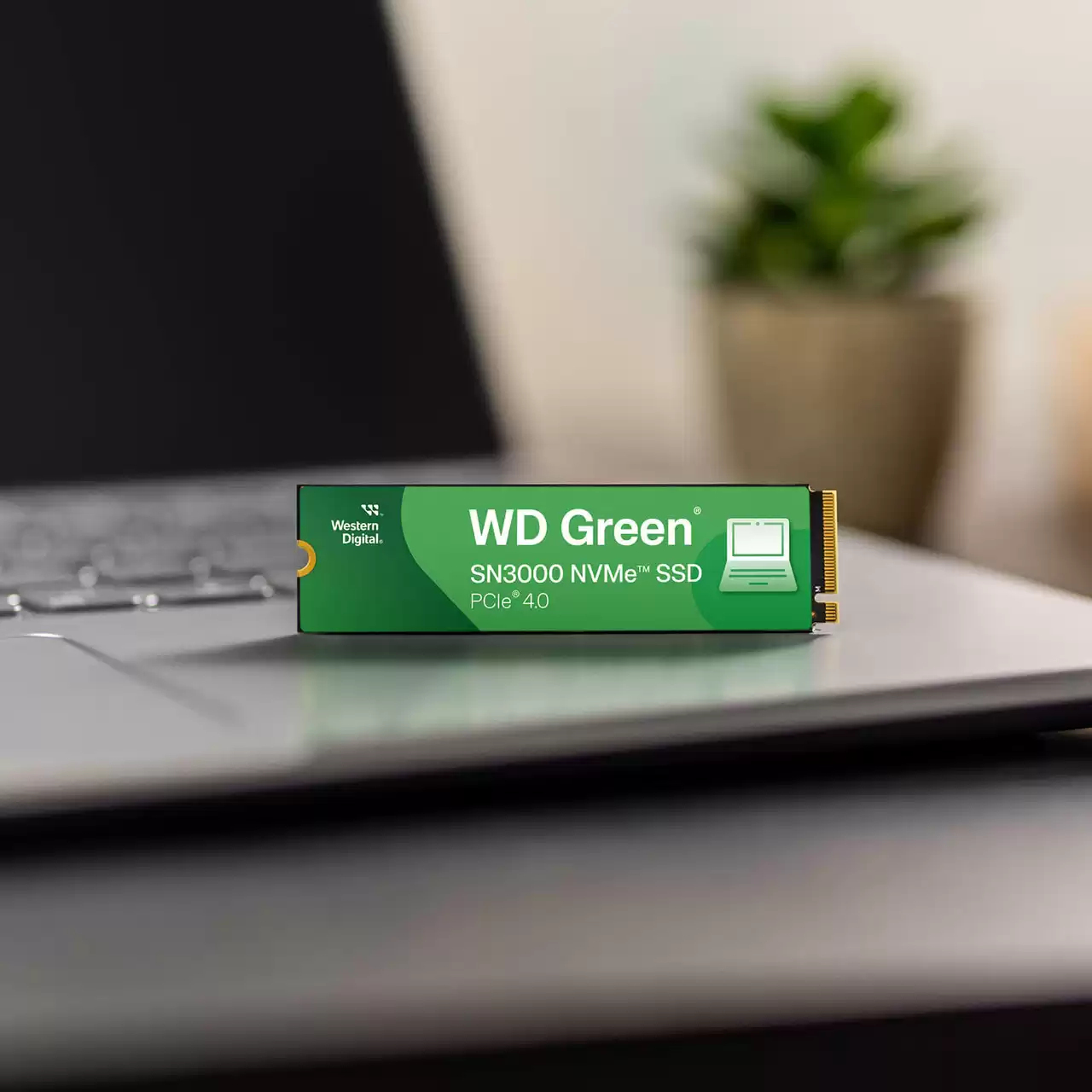 Western Digital - Disco SSD Western Digital Green SN3000 500GB Gen4 M.2 NVMe (5000/4100MB/s)